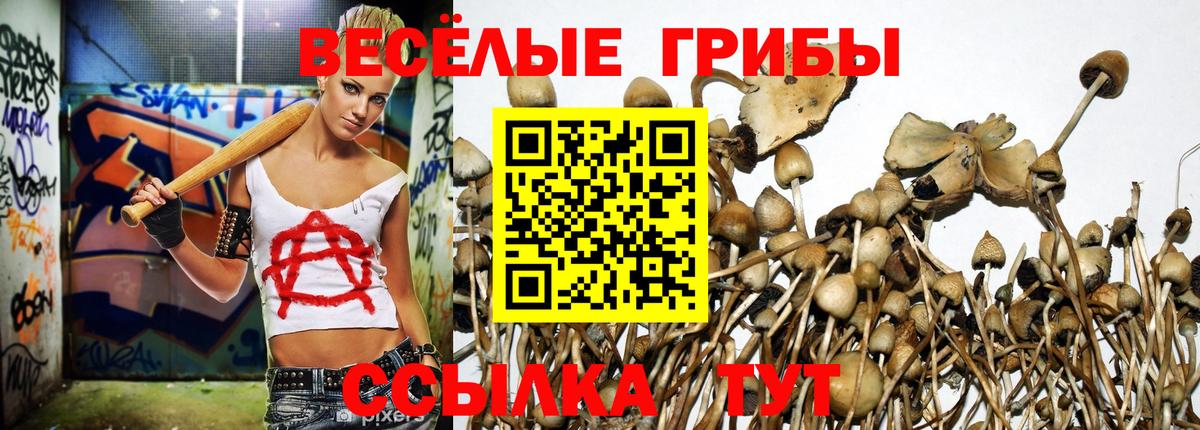 где купить наркоту  Псилоцибиновые грибы ЛСД  Галлюциногенные грибы Psilocybine cubensis  Вход с VPN  Гулькевичи 